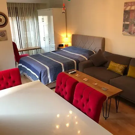 Sisli Elite Residance In The Center Of Downtown דירה *